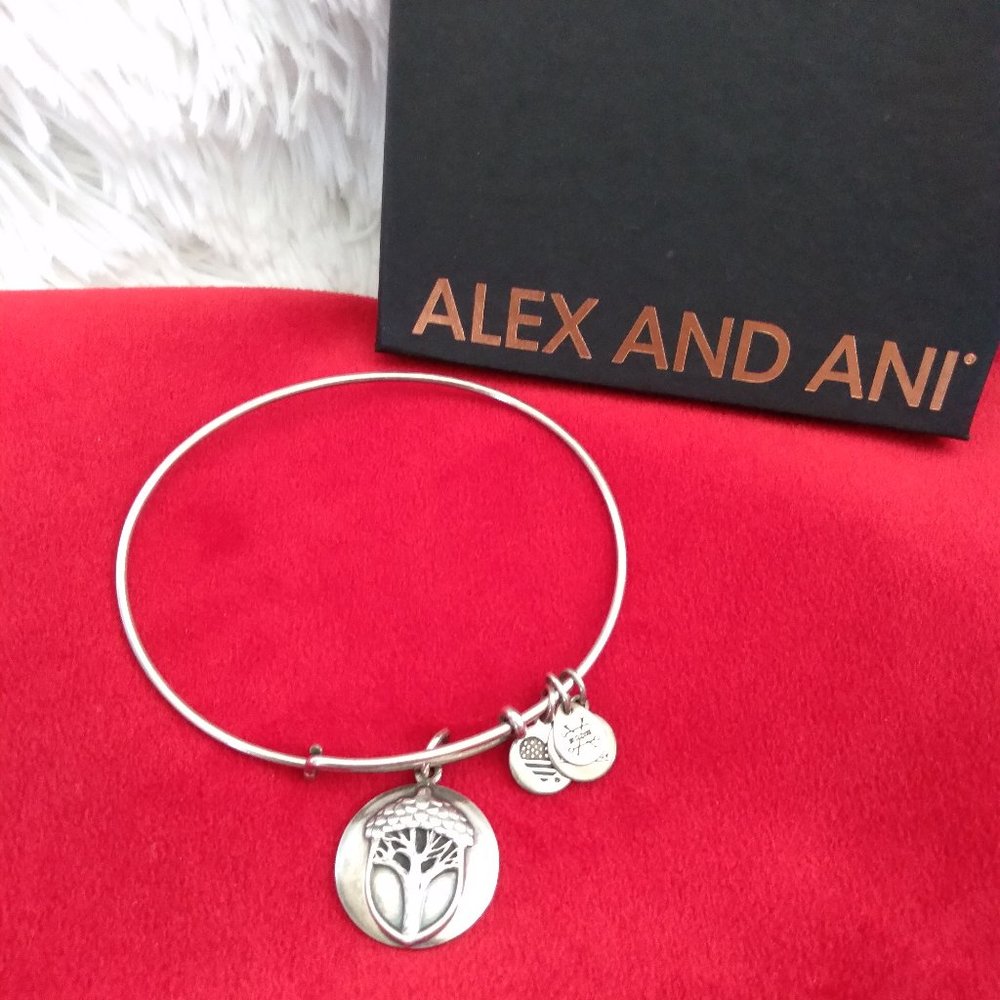 Alex and Ani Bracelet